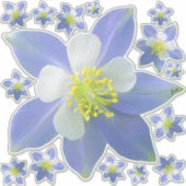 Spalte 2 aufkleber (Vorderseite)