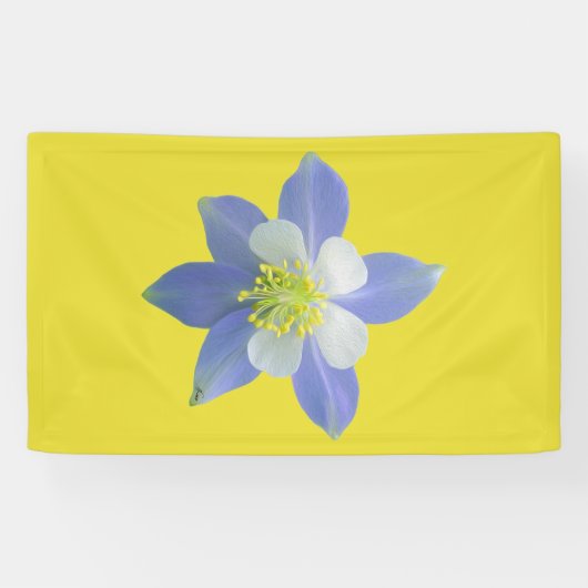 Spalte 2 banner (Horizontal)