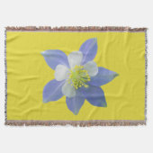 Spalte 2 decke (Vorderseite)