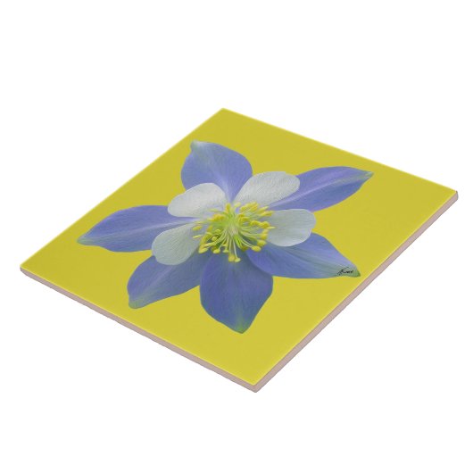 Spalte 2 fliese (Seite)