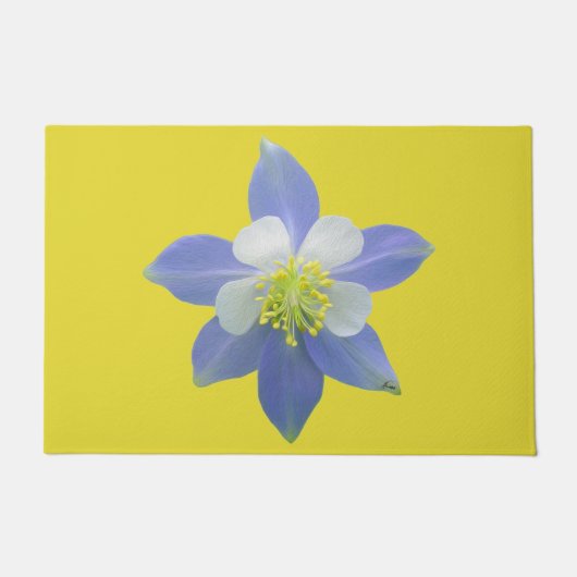 Spalte 2 fußmatte (Vorderseite)