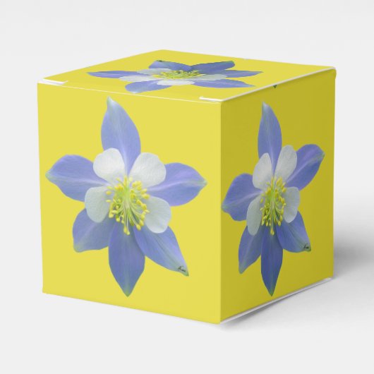 Spalte 2 geschenkschachtel (Vorderseite)