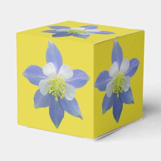 Spalte 2 geschenkschachtel (Rückseite)