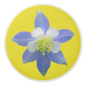 Spalte 2 keramikknauf (Vorderseite)