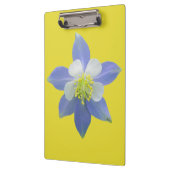 Spalte 2 klemmbrett (Links)