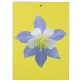 Spalte 2 klemmbrett (Rückseite)