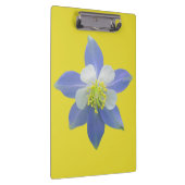 Spalte 2 klemmbrett (Rechts)