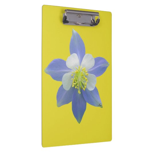 Spalte 2 klemmbrett (Rechts)