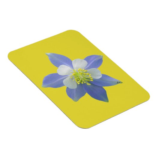 Spalte 2 magnet (Rechte Seite)