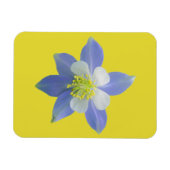 Spalte 2 magnet (Horizontal)