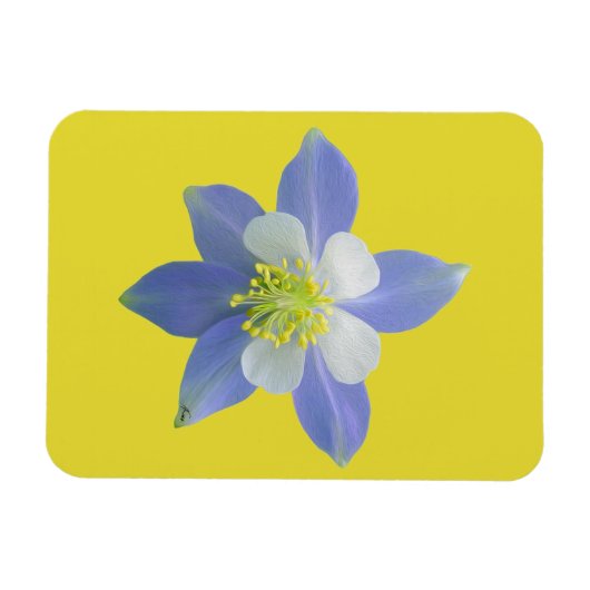 Spalte 2 magnet (Horizontal)