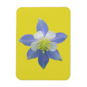 Spalte 2 magnet (Vertikal)