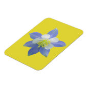 Spalte 2 magnet (Linke Seite)