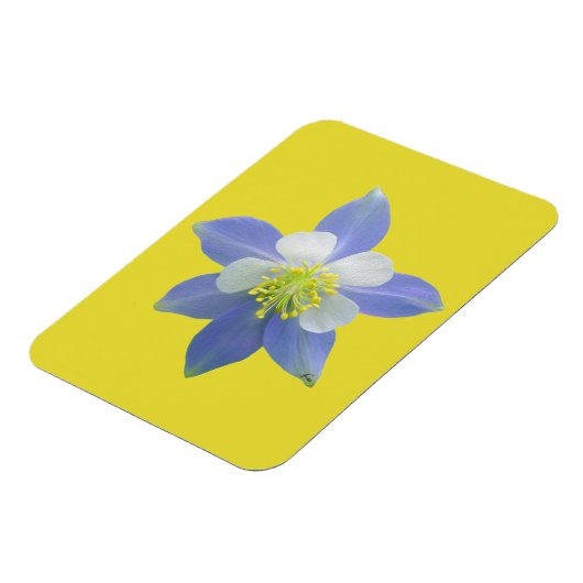 Spalte 2 magnet (Linke Seite)