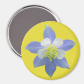 Spalte 2 magnet (Vorderseite/Rückseite)