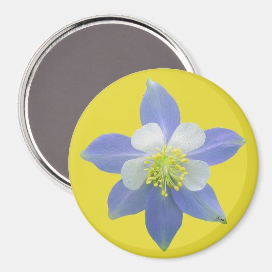 Spalte 2 magnet (Vorderseite/Rückseite)