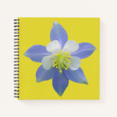 Spalte 2 notizblock (Vorderseite)