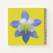 Spalte 2 notizblock (Rückseite)