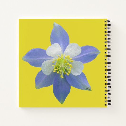 Spalte 2 notizblock (Rückseite)