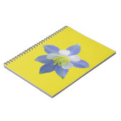 Spalte 2 notizblock (Linke Seite)