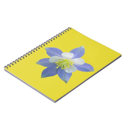 Spalte 2 notizblock (Linke Seite)