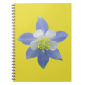 Spalte 2 notizblock (Vorderseite)