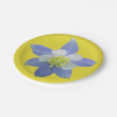 Spalte 2 pappteller (Schrägansicht)