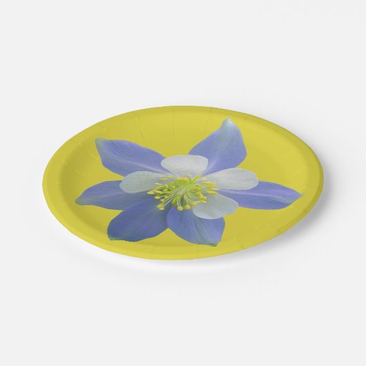 Spalte 2 pappteller (Schrägansicht)