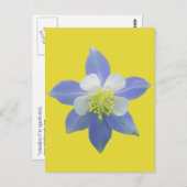 Spalte 2 postkarte (Vorne/Hinten)