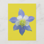 Spalte 2 postkarte (Vorderseite)