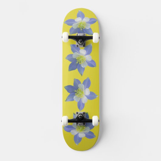 Spalte 2 skateboard (Vorderseite)