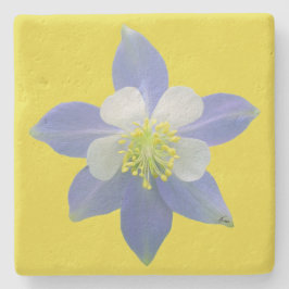 Spalte 2 steinuntersetzer