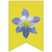 Spalte 2 wimpelkette (Erste Fahne)