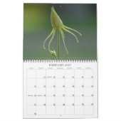 Spalten Kalender (Feb 2027)