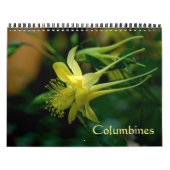 Spalten Kalender (Titelbild)