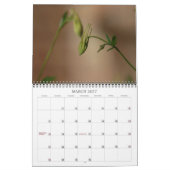 Spalten Kalender (Mär 2027)