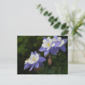 Spalten Postkarte (Stehend Vorderseite)