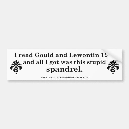 Spandrels Autoaufkleber (Vorne)