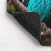 Spangled Cotinga Mousepad (Ecke)