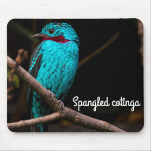Spangled Cotinga Mousepad