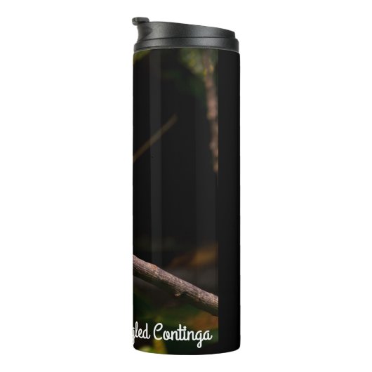 Spangled Cotinga Thermosbecher (Nach rechts gedreht)