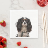 SPANIEL 1A SERVIETTE (Beispiel)