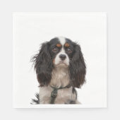 SPANIEL 1A SERVIETTE (Vorderseite)