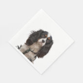 SPANIEL 1A SERVIETTE (Ecke)