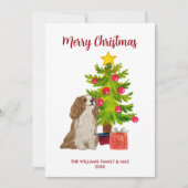 Spaniel Dog Familie Weihnachten (Vorderseite)