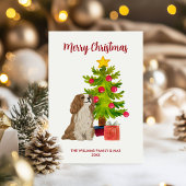 Spaniel Dog Familie Weihnachten