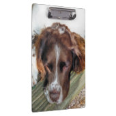 SPANIEL DOG KLEMMBRETT (Rechts)