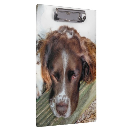 SPANIEL DOG KLEMMBRETT (Rechts)