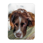 SPANIEL DOG MAGNET (Vertikal)