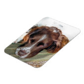 SPANIEL DOG MAGNET (Linke Seite)